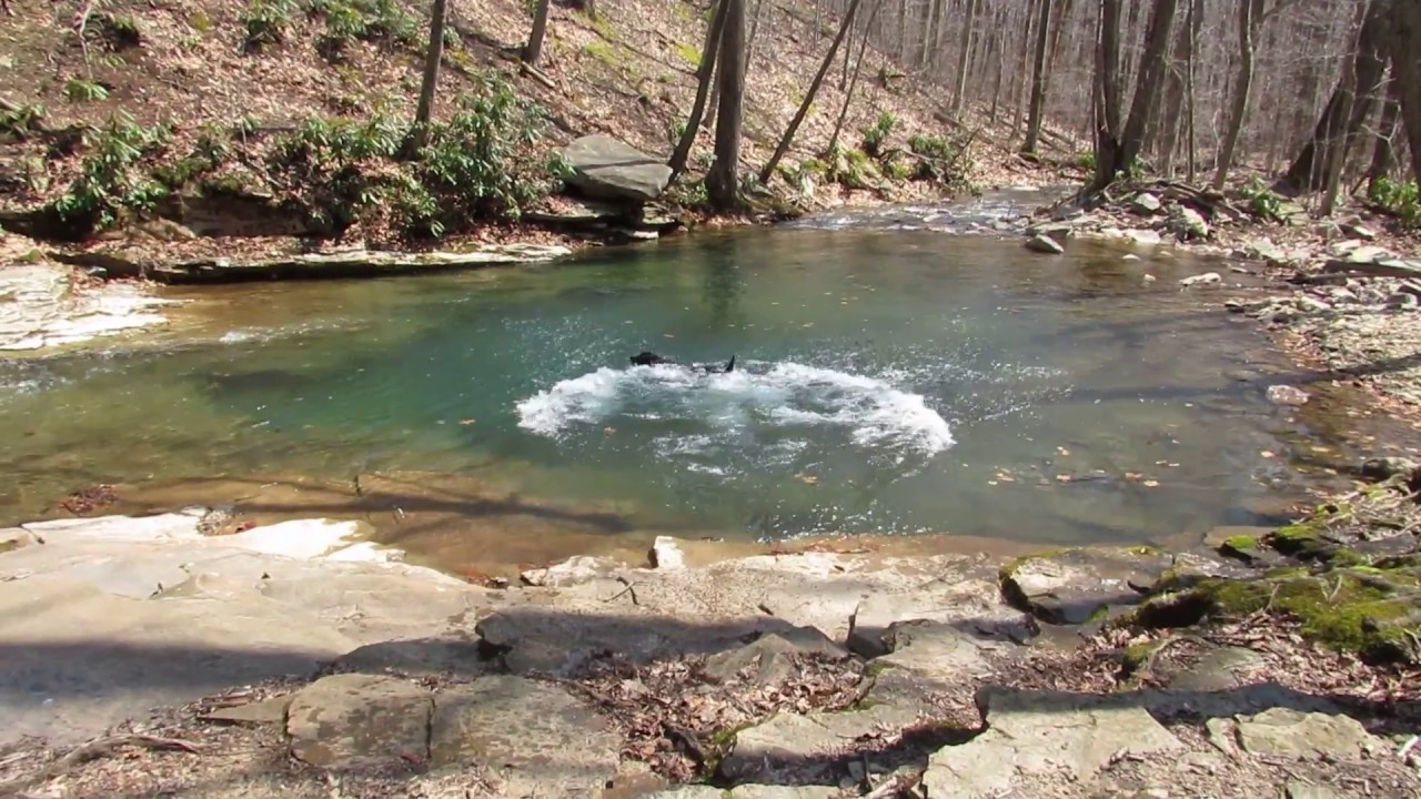 SWIMMINGBLUE HOLESOMERSET COUNTY PA YouTube