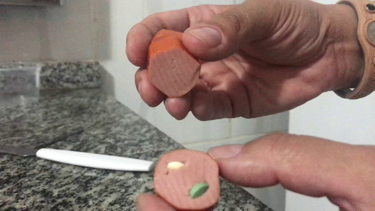 Como dar comprimidos pra cachorro YouTube Como dar comprimidos pra cachorro YouTube