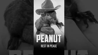 She EXECUTED Peanut the squirrel!