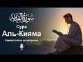 Сура аль-Кыяма سورة القیامه | Мощное чтение Корана, проникающее в самое сердце утешение