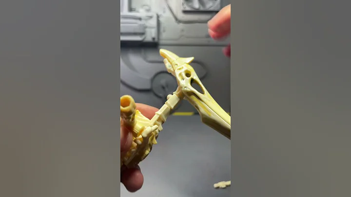 Do you like the Kingdom Fossilizers    #shorts