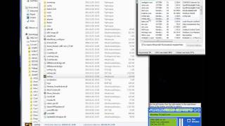 COD MW2 Alteriwnet has stopped working after verifying data files