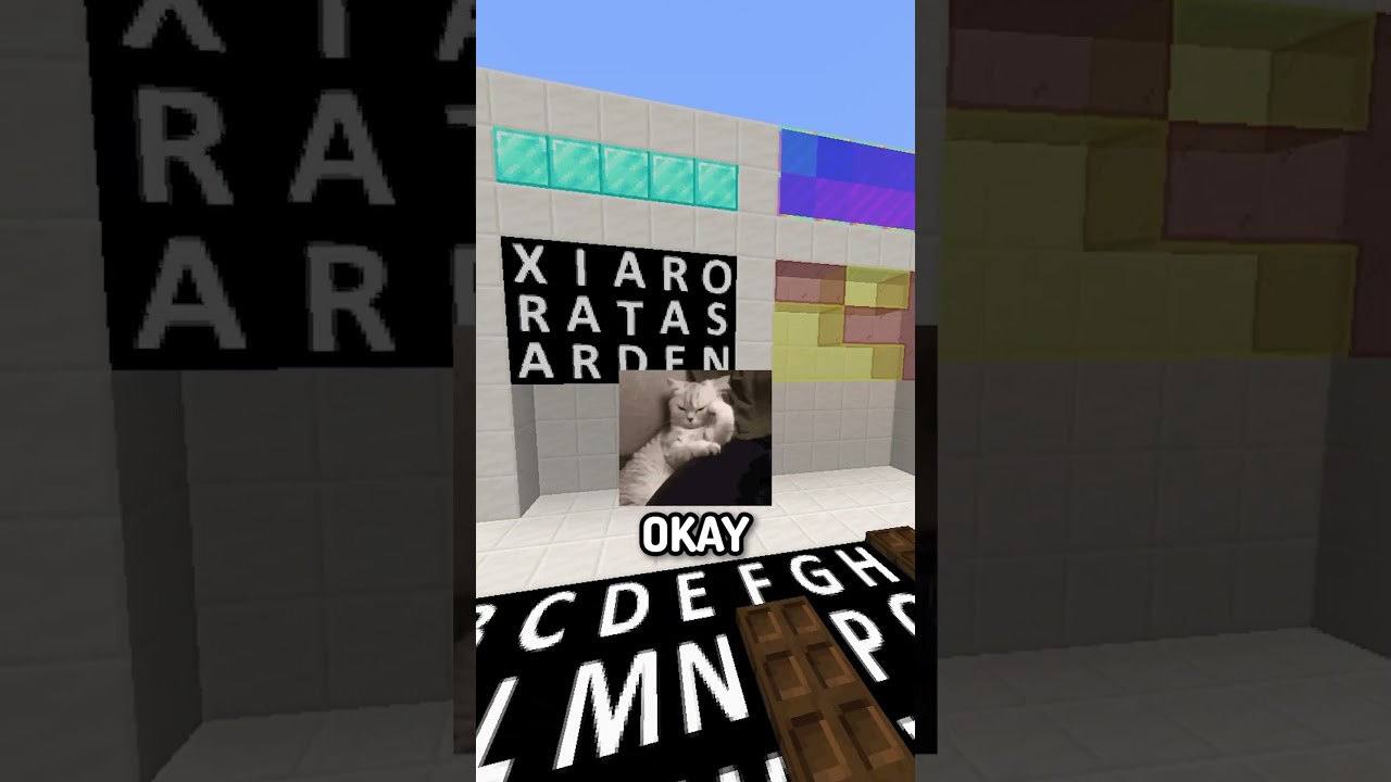 que palabra es esa bro #minecraft #andrast