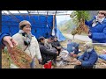 Ái Mí Vào Bản Sâu Tìm Sâm Quý Rét Quá phải Vào Nhà sưởi lửa Cùng Dân Bản 