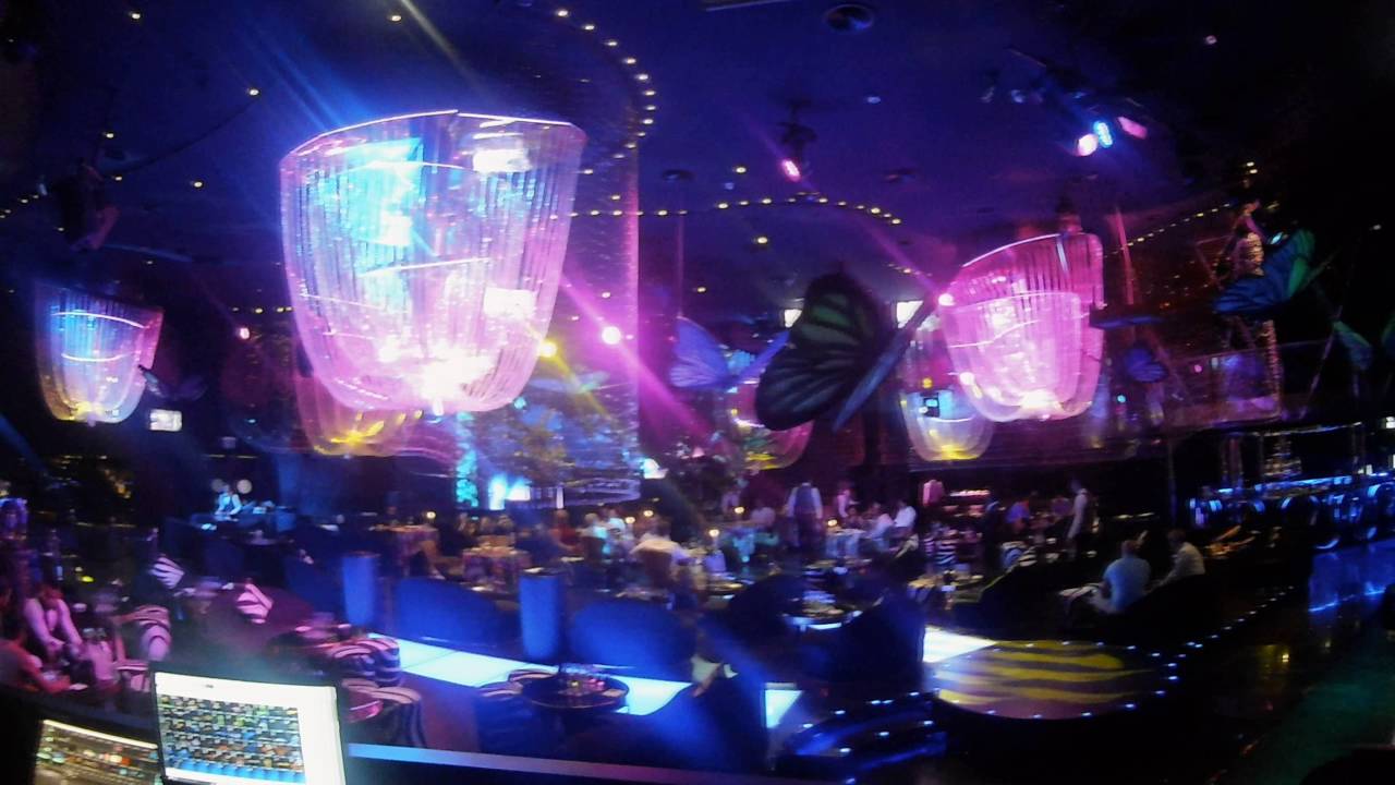 Live Light Jockey Dubai (7) Jungle