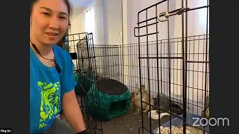 Nature at Home: Meet Eleanor the Rabbit!