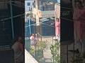 পুরাই আগুন 🔥 #viral #viralshorts