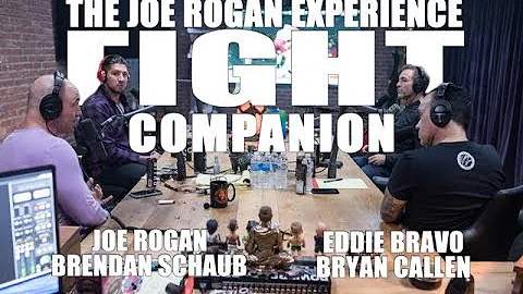 Joe Rogan Experience - Fight Companion - November 24, 2018