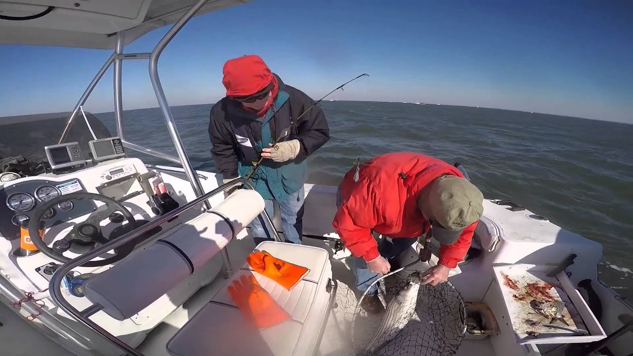 Cape May Striper Fishing