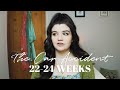 22-24 Weeks Pregnant | The Car Accident, Spots & Bumpdate