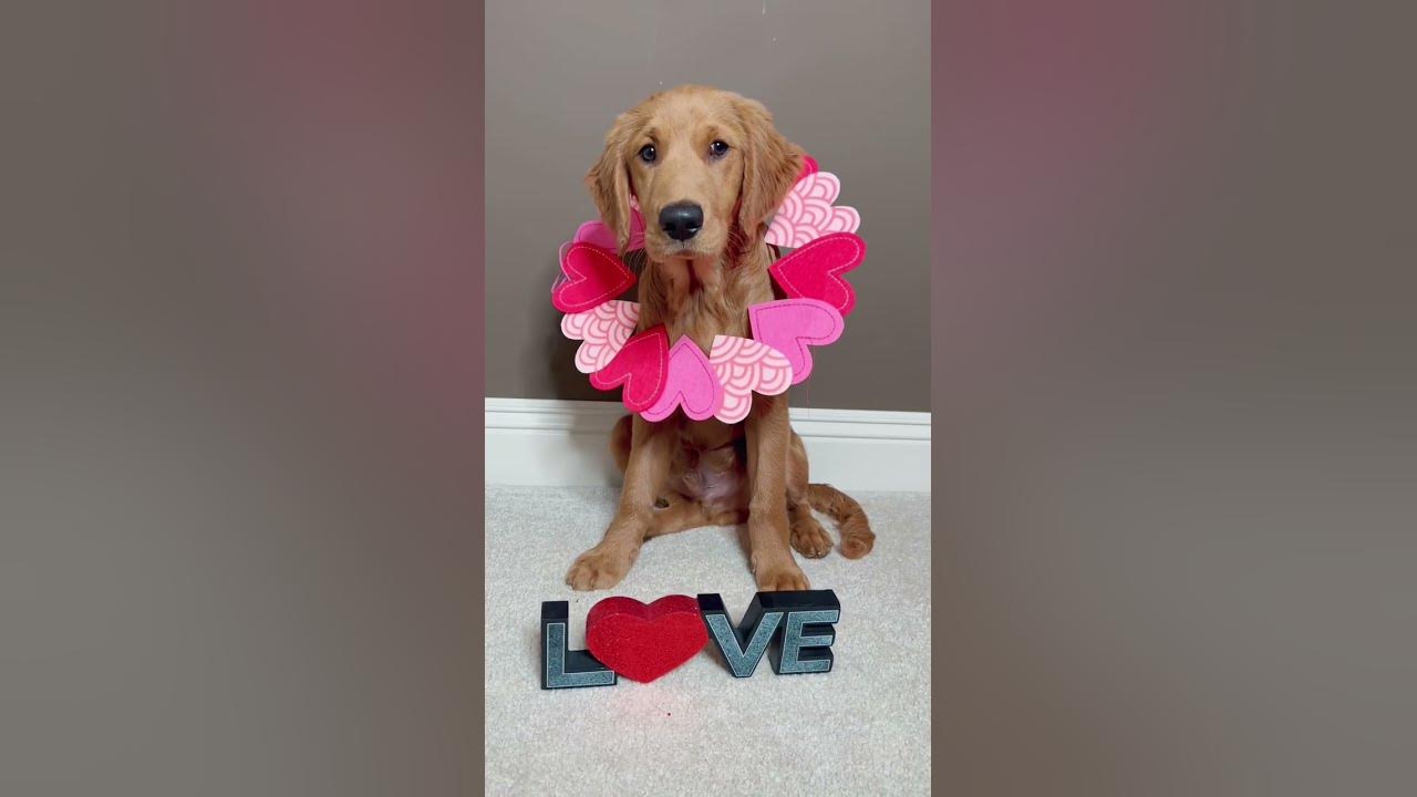 National Love is Kind Day! YouTube