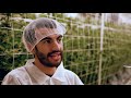 The Art of Flower: Canndescent - Pioneers of Luxury Cannabis, Harvesting 10,000+ Pounds Annually