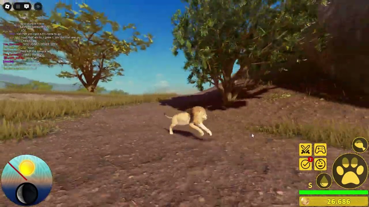 ( Savannah life ) showcase of new lion remodel growth