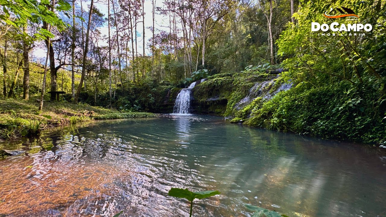 RECORDAÇÕES  - CHÁCARA EM SANTA CATARINA @LUCIANODOCAMPO1 @DOCAMPOIMOBILIÁRIA