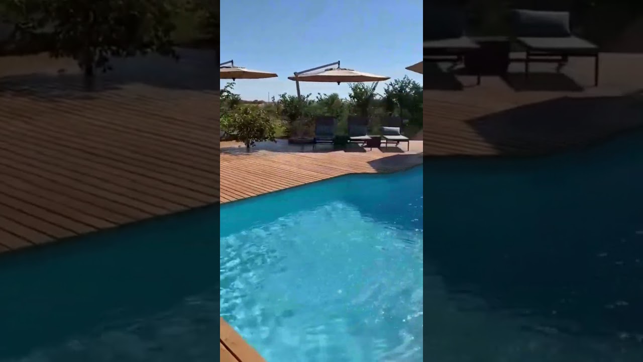 The Hidden Gem of Zimbabwe: Fothergill IslandExplore the untouched