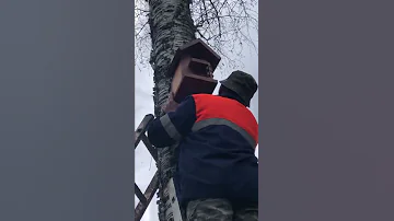 Бельчатник. Новоселье