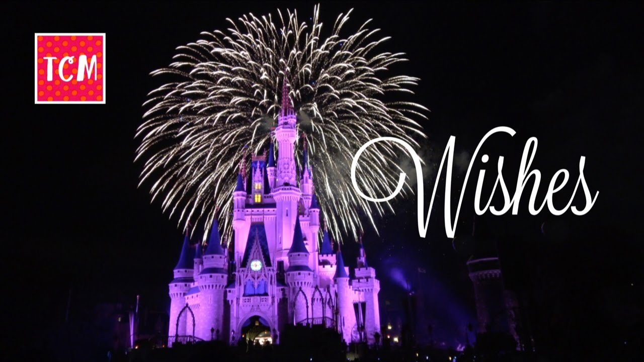 disney world vlog youtube WISHES- OUR LAST VIEWING 🎆 | April, 24, 2017 | Two Cats and a Mouse