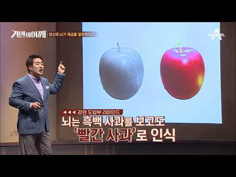 셀프 족쇄는 더이상 NONO! 금수저, 은수저는 없다! 뇌의 틀을 깨자★ #물개박수 | 거인의어깨