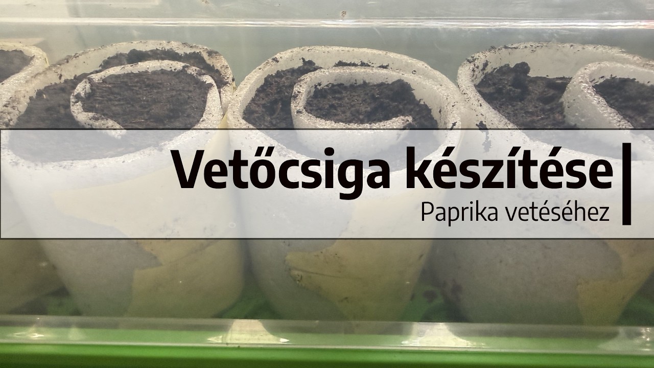 Ep. 403.: Vetőcsiga készítése - Paprika vetéséhez