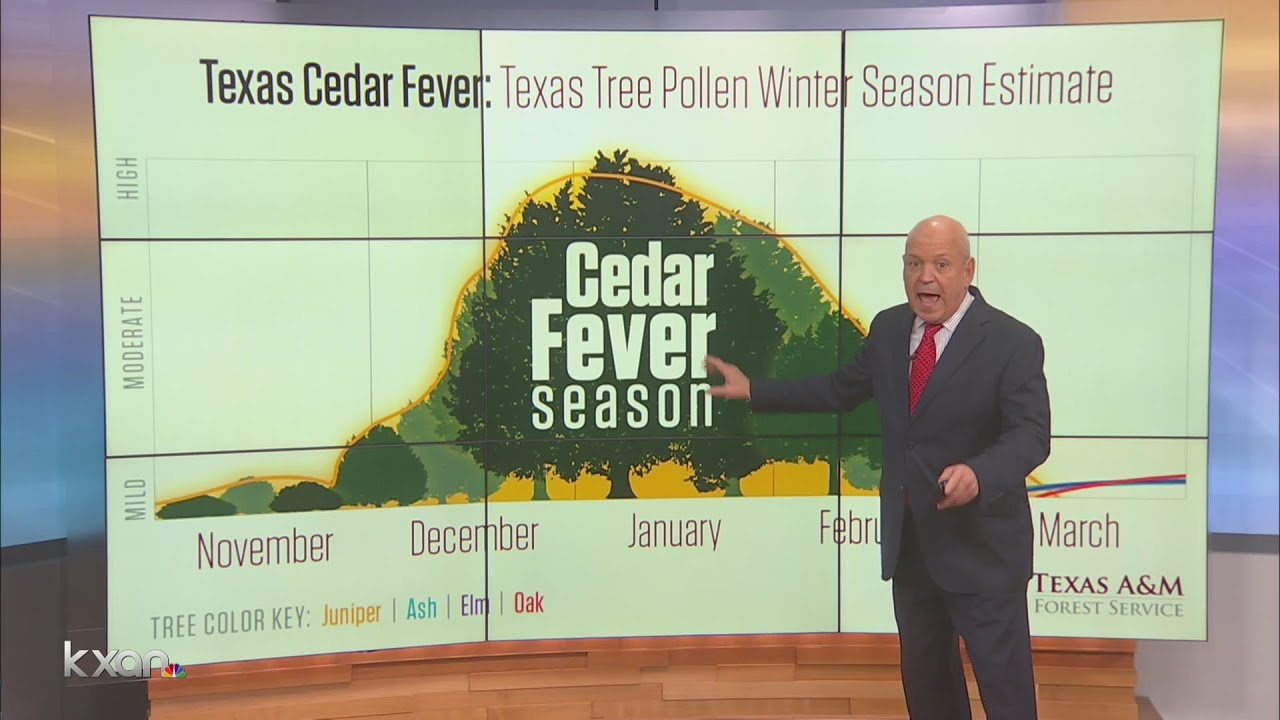 Cedar fever or COVID-19? Allergists want you to know the symptoms to watch for - KXAN