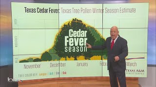Cedar fever or COVID-19? Allergists want you to know the symptoms to watch for