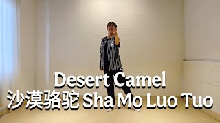 Download Lagu NEW DANCE\u0026COUNT| Desert Camel (沙漠骆驼 Sha Mo Luo Tuo) | LINE DANCE | High Improver | Heru Tian MP3