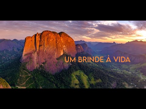 Um Brinde à Vida