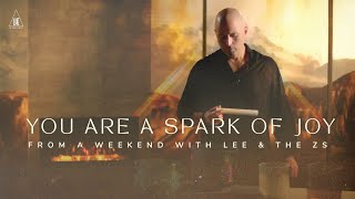 You Are a Spark of Joy ✨ Channeled segment from 'A Weekend with Lee and the Z's 2024'