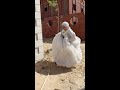 عروسة هربت من جوزها فى ليلة الدخله اعرف السبب