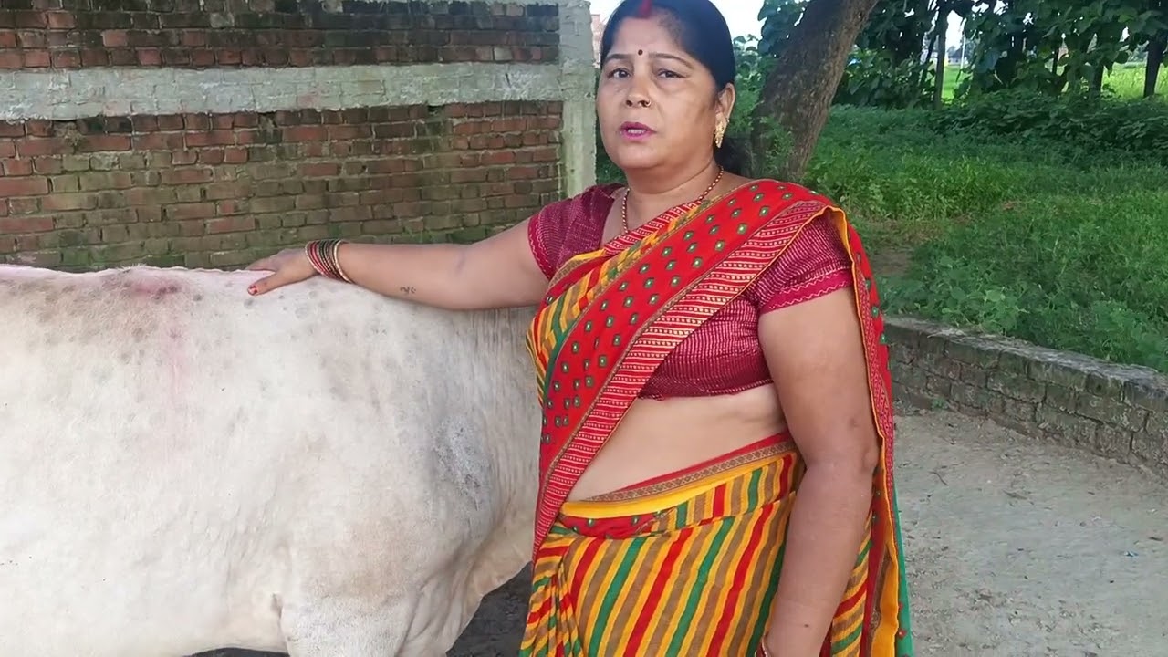 Please support 🙏🥺 kare Aur bataye ki mere gay ko kya hua ha🙏🥺🥺🥺 please 