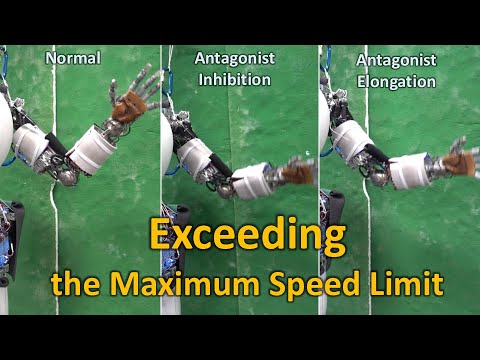 【mr.kengo-show5963様】専用 S.H.Figuarts Shurkenger custom version Custom by @chabotoys Thank