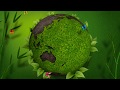 Edius 7 | Edius 8 | Edius 9 | Video Background 065