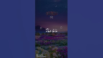 القران الكريم#شفاء لما في الصدور#اكسبلور