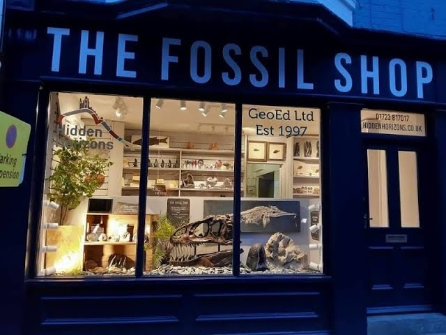 The Fossil Shop - YouTube