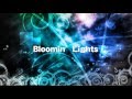 a_hisa - Bloomin' Lights