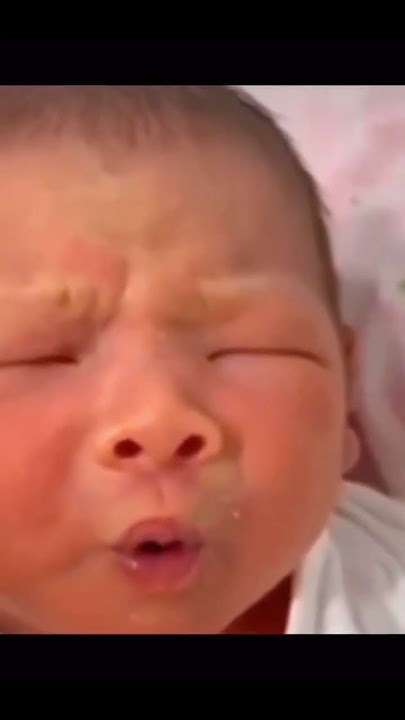 Meme bayi bersiul ~ Nada dering pesan / sms siulan
