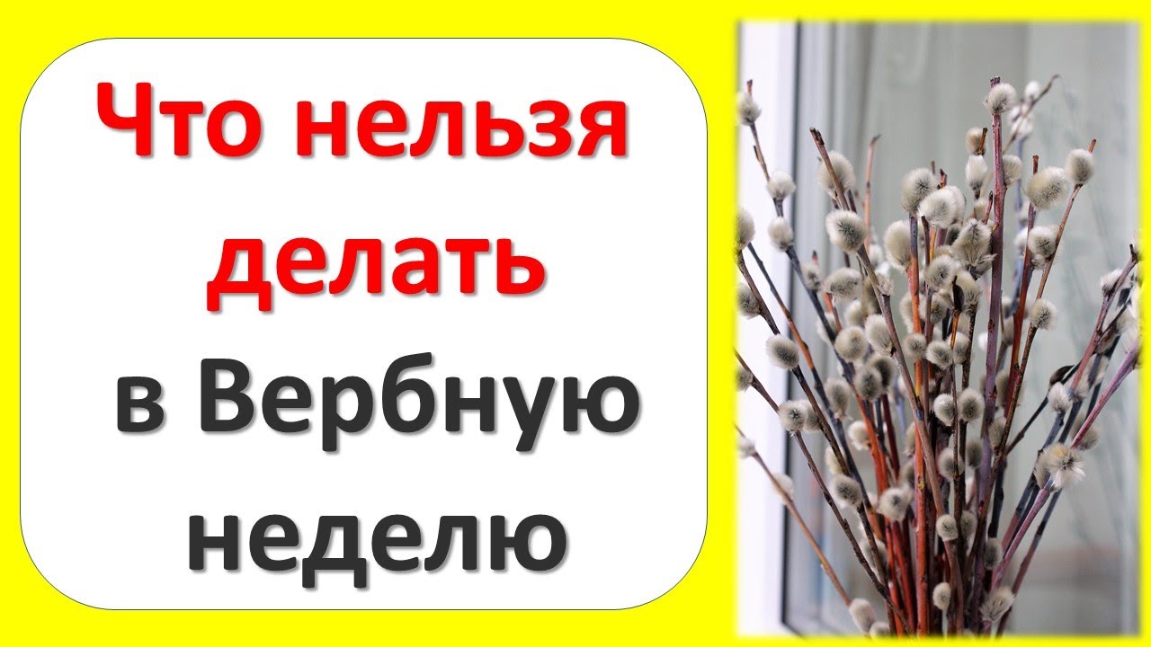 Вербная неделя что можно и нельзя. Вербная Воскресение и неделя Вербная. Вербное воскресенье приметы и традиции. Вербная неделя приметы. С началом Вербной недели.