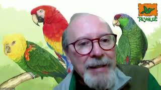 2024 #ParrotCrisis Summit: How the Parrot Trade Harms Wild Parrots (Part II: Discussion)