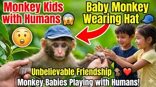 Baby Monkey Playing with Humans | Cute Monkey Wearing Hat 🧢🐒