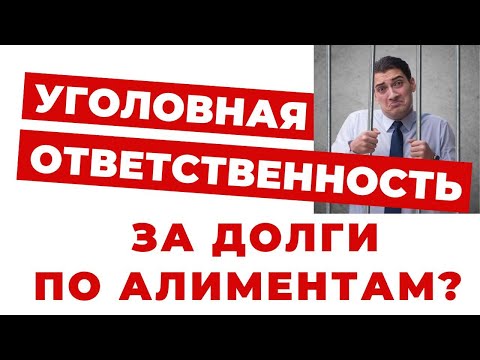 ✔️Могут ли Посадить за Долги по Алиментам?