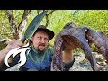 Wie du OCTOPUS & HANGING TENDER | Surf & Turf outdoor asmr Style grillst 🐙🔥🐙 🔥