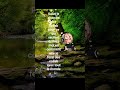 JE CHERCHE DES COLLAB