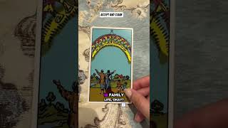 Do you want to know who your future partner is #tarot#tarotreading#foryoupage#fyp#mayless