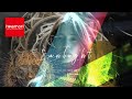 iwamori - Sunlight (Official Video)