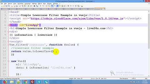 vue Lowercase filters | Simple Lowercase Filter Example in vuejs