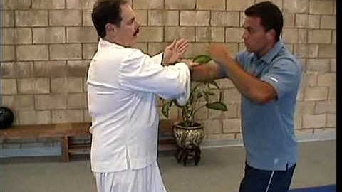 Baguazhang Knock Outs Nine Dragon Baguazhang
