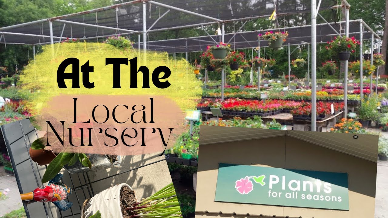 Plants For All Seasons Houston Plants For All Seasons Houston