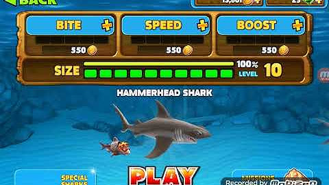 Hungry Shark Evolution reef shark part 1