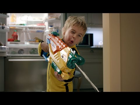 What Happened to the Babysitter COOKIE CRITTERS