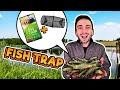 My Brother's SECRET Pond to TRAP FISH! (INSANE 50+ Fish)